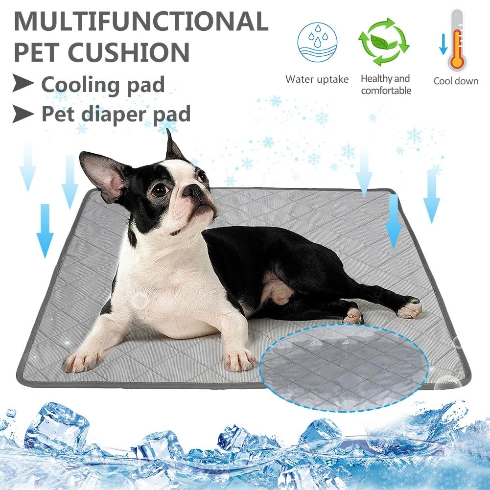 my dog barks at everything