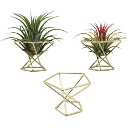 Support géométrique pour plantes à Air, 3 pièces, support métallique pour plantes à Air, étagère pour jardinières, décor Himmeli, conteneurs Tillandsia 