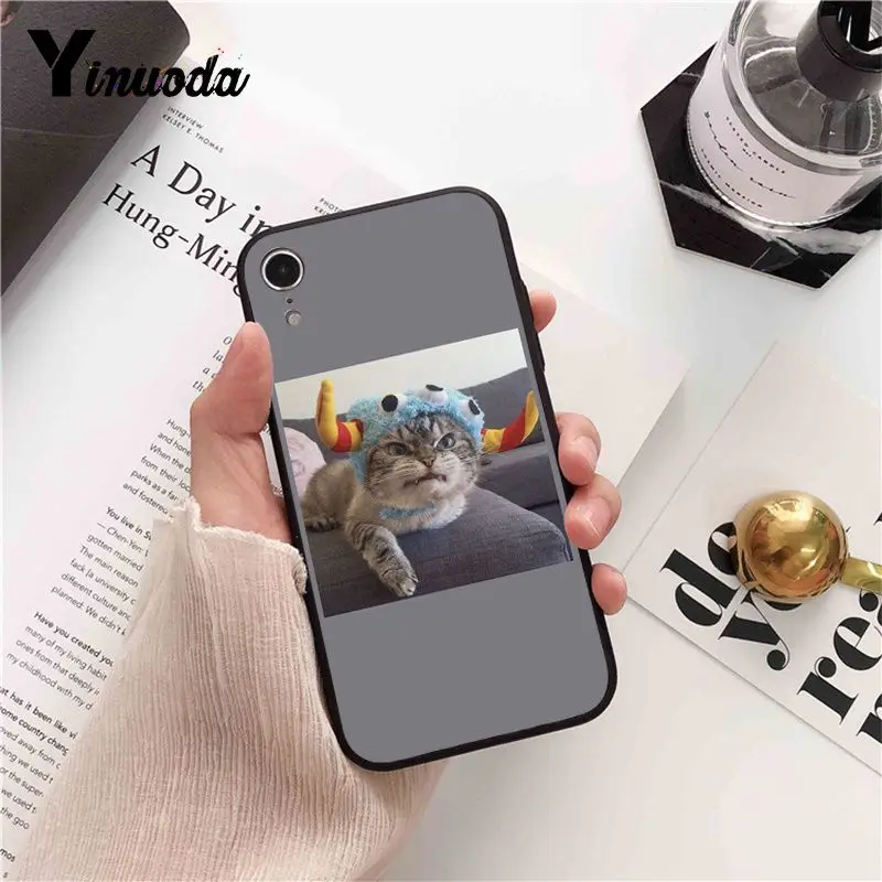 funny cat dog mood