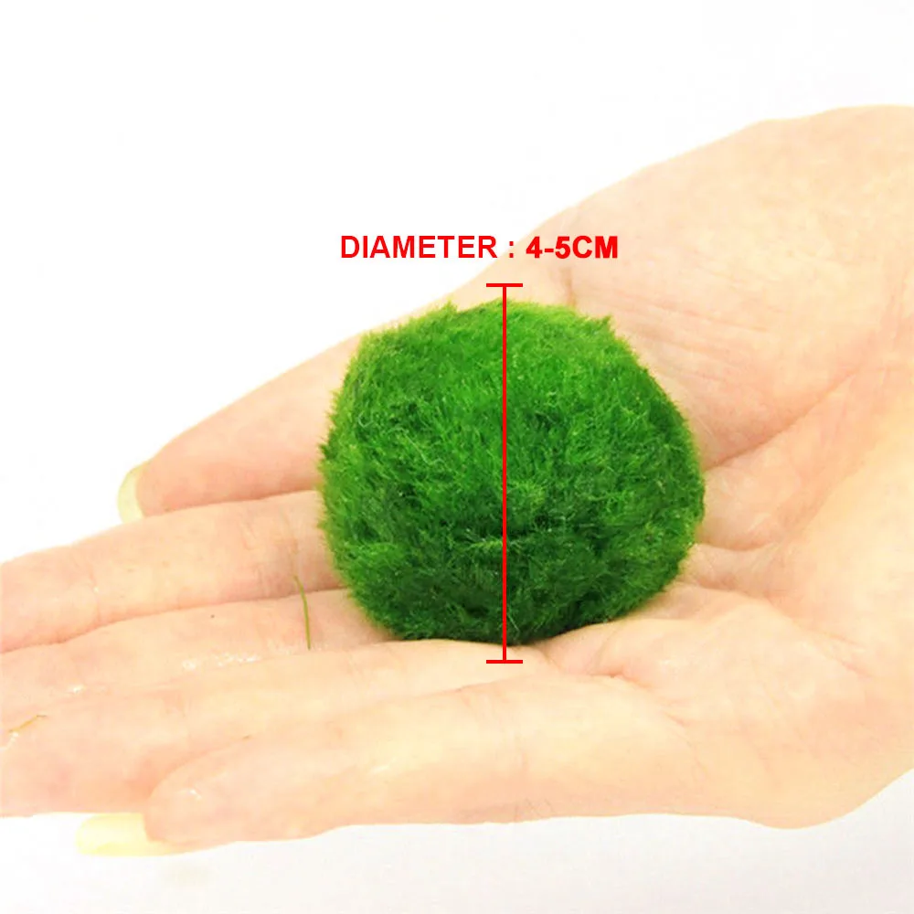 Красивый мох Marimo мяч 4-5 см легко живущий зеленый зоотовары аквариум растительный шар из водорослей пейзаж Водные виды