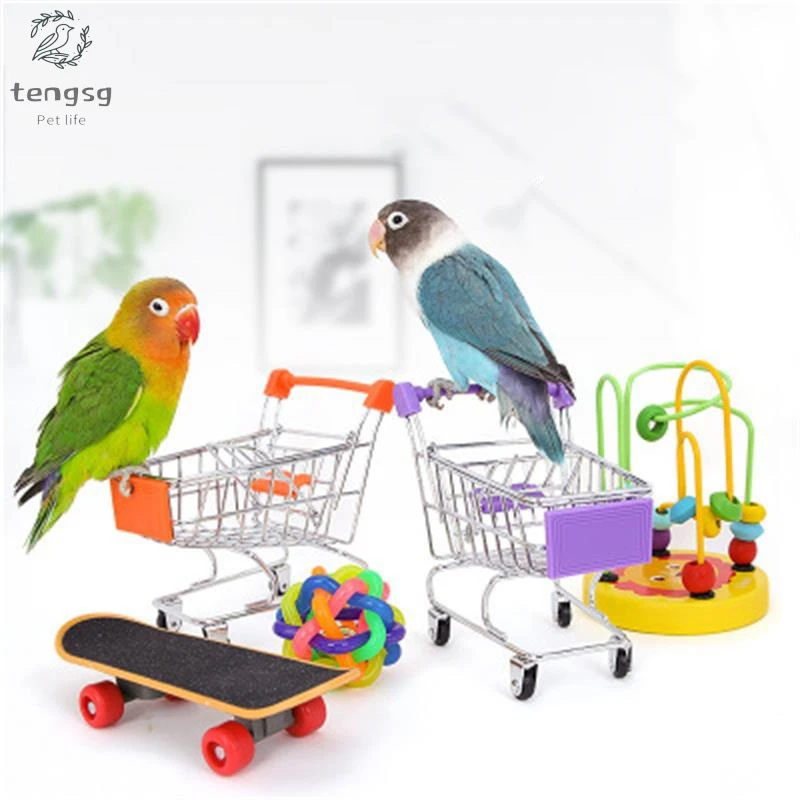 

Parrot toy supplies gnaw teeth shopping trolley scooter bell tiger skin Xuanfeng training educational toy