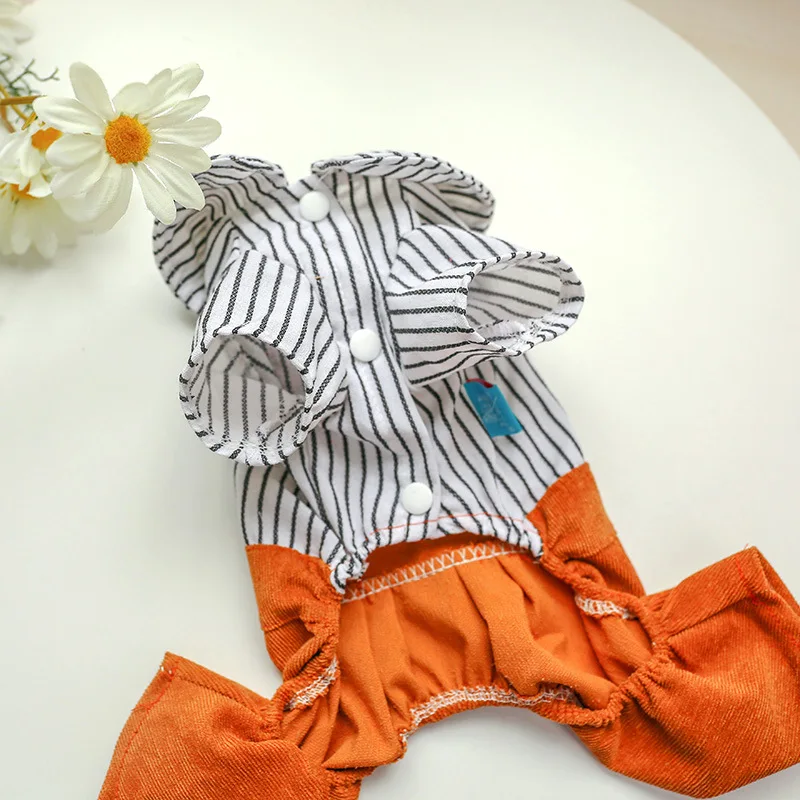 18083546885_1853267267 (1)