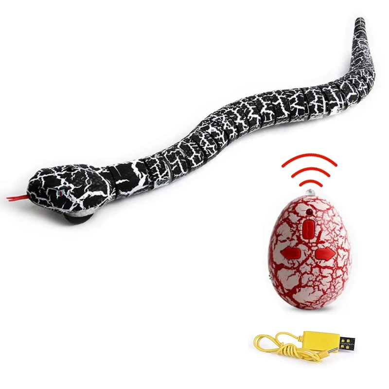 Giocattolo serpente telecomandato RC per gatto gattino Controller a forma  di uovo serpente a sonagli serpente interattivo gatto Teaser gioca  giocattolo gioco Pet Kid - AliExpress