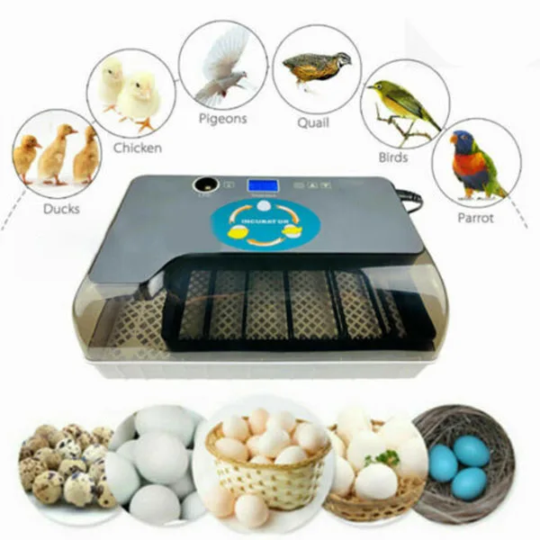 

Novel Egg Incubator Digital Fully Automatic 12 Eggs Poultry Hatcher for Chickens Ducks Shipping