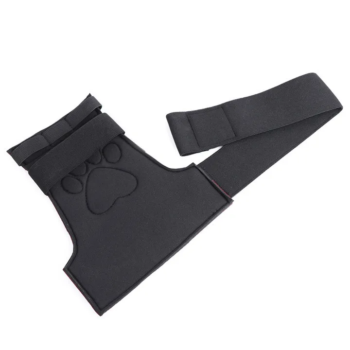 16227097841_1557592402