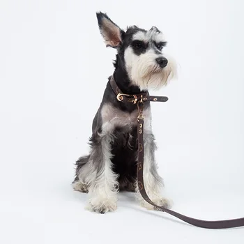 

PU Classic Dog Leashes Set, Luxury LOUIS Design Pet Collar With Leash For Chihuahua Teddy Pug Bulldog Puppy Accessories