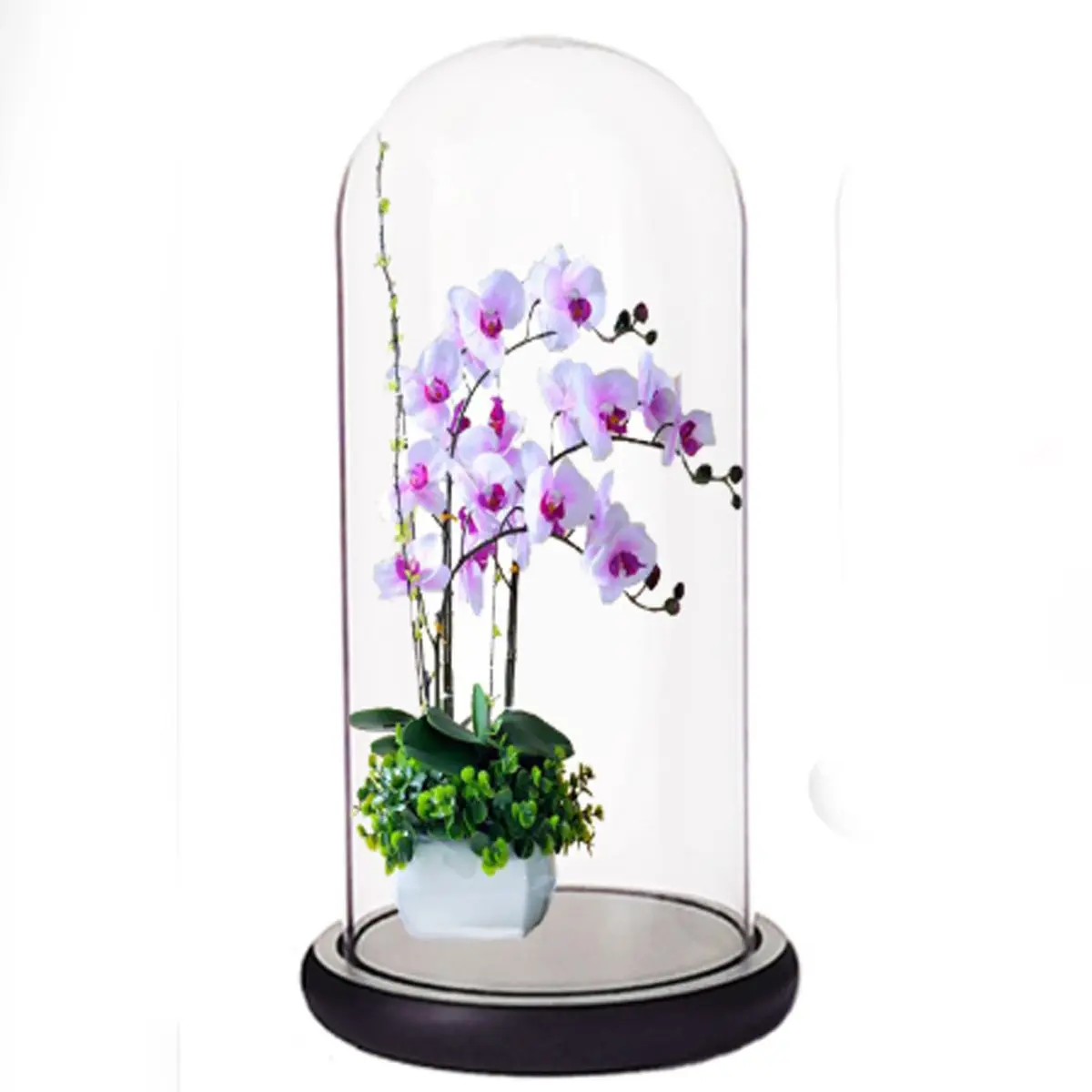 

33 x15 CM Glass Dome Shaped Cover Dry Flower Display Terrarium Figurines Display Borosilicate Glass Decorative DIY Crafts