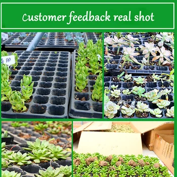 

5PCS Plant Grow Organic Nursery Pots 200 Cells Multi-Function Plant Propagation Planting Seedling Tray Flower Nursery Grow Box