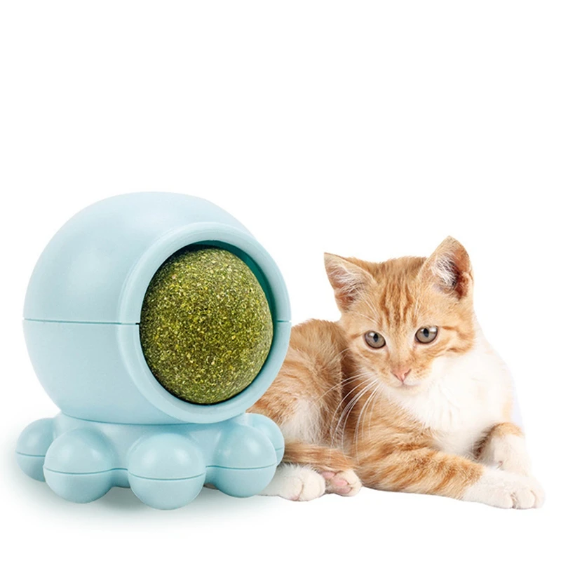 edible cat toys