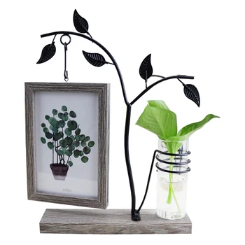 

Features With Hydroponic 6 Inch Hanging Double-Sided Photo Frame Creative Personality Decorative Table Crafts Ornaments