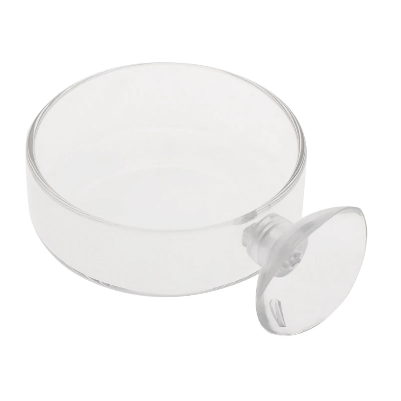 

New Arrival Fish Tank Feeder Aquarium Shrimp Glass Feeding Bowl Clear Dish Tray
