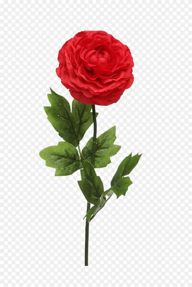花园玫瑰 蜈蚣玫瑰 月季花 花png图片素材免费下载 图片编号 Png素材网