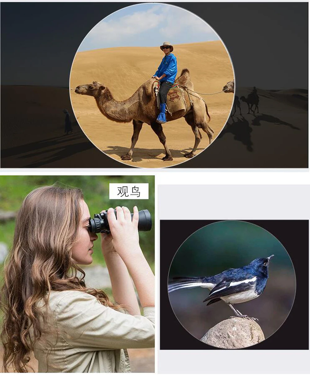 10532015931_931076156