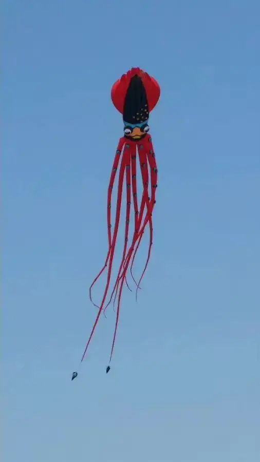 Воздушный змей в виде кальмара 27 м большой воздушный змей
