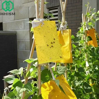 

WHISM Strong Flies Traps Bugs Sticky Board Catching Aphid Insects Killer Pest Control Whitefly Thrip Leafminer Glue Sticker