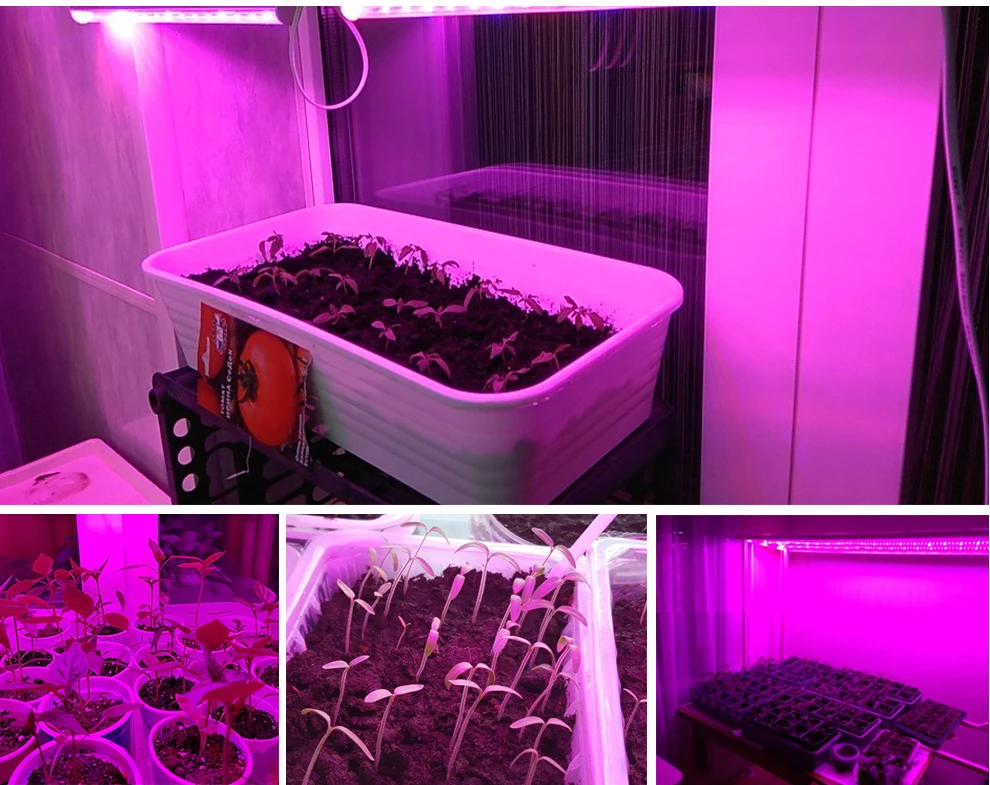 Светодиодный светильник для выращивания 220 в полный спектр светодиодный светильник для растений Высокая световая эффективность фитолампа для выращивания тентов теплиц цветов