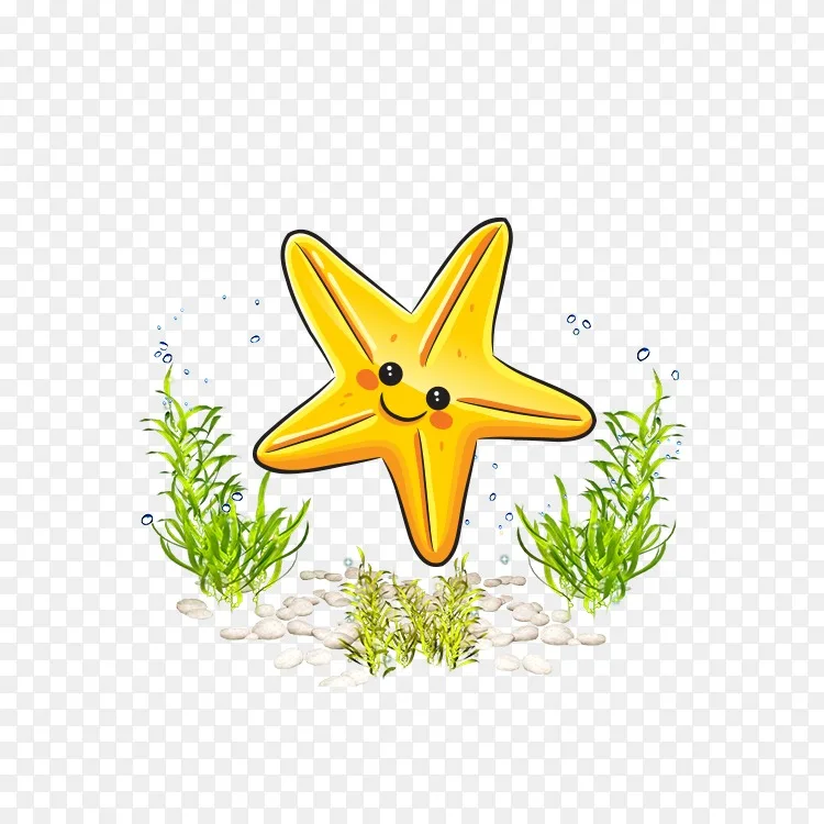 画海星卡通 卡通海星海洋生物海洋世界png图片素材免费下载 图片编号 Png素材网