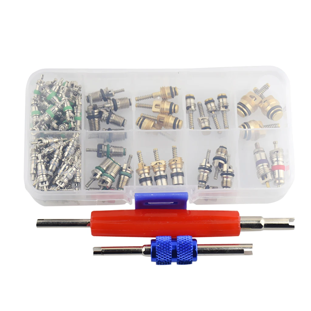 102 Pieces Valve Core Stem Cap Air Conditioner Refrigerant R12 R134 Remover Tool
