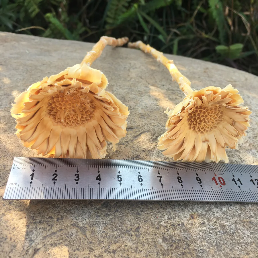 4cm head 4 шт./4-8 см. Натуральные Сушеные герберы для цветочной головки, для самостоятельного изготовления цветочных дисплеев, сухие цветы, растения для свадьбы, вечерние украшения для дома, подарок - Цвет: 4cm head