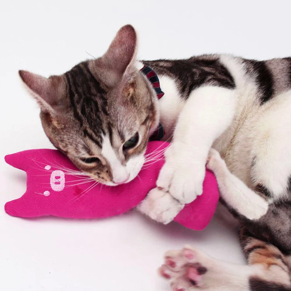 Игрушка для кошек котят кошачья мята|Игрушки кошек| |