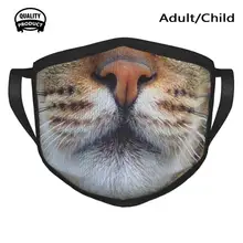 Gato gato exótico gato gatos gato com gatos com cara de gato máscara facial ciclismo caça caminhadas acampamento máscara boca dagho