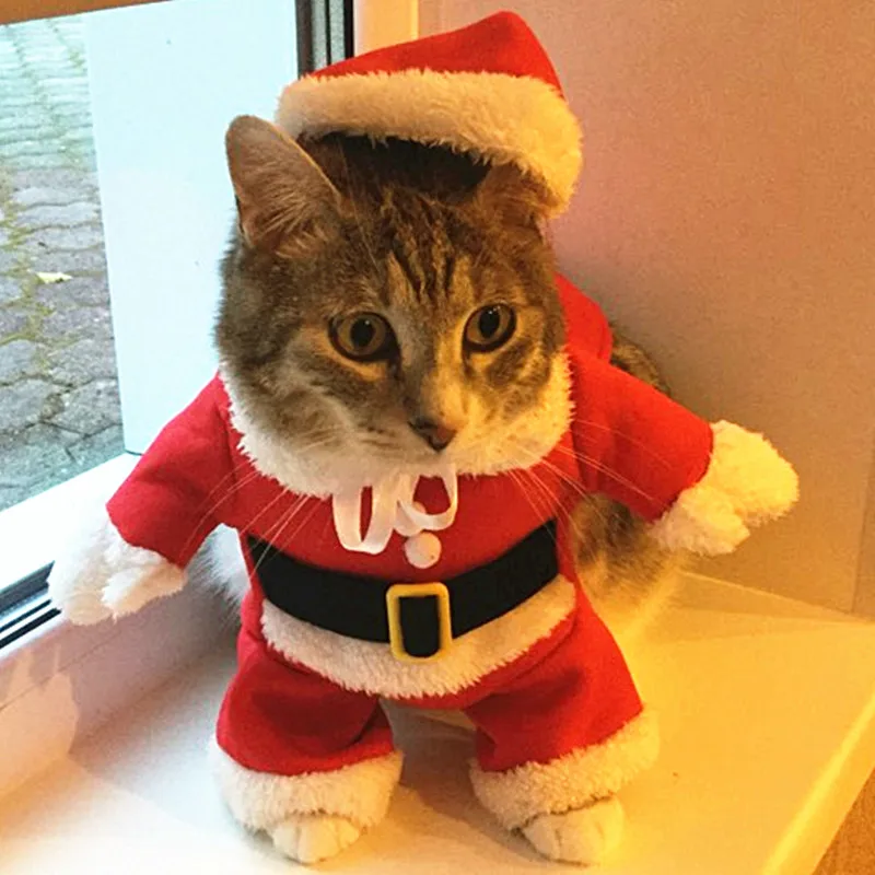 Рождественская Одежда для кошек, одежда для Хеллоуина, костюм для кошек, Новогодняя одежда, одежда для домашних животных, котов для чихуахуа, зимняя теплая одежда для домашних животных - Цвет: Cat Clothes