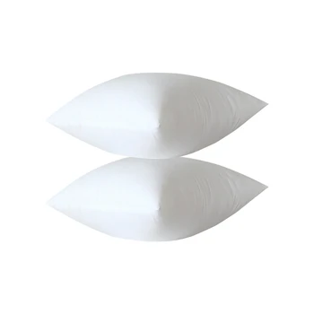 

2pcs Throw Pillow Insert 18x18Inch Square Form Decorative Pillow Cushion Core Square Sofa And Bed Pillow Form Inserts 45x45cm