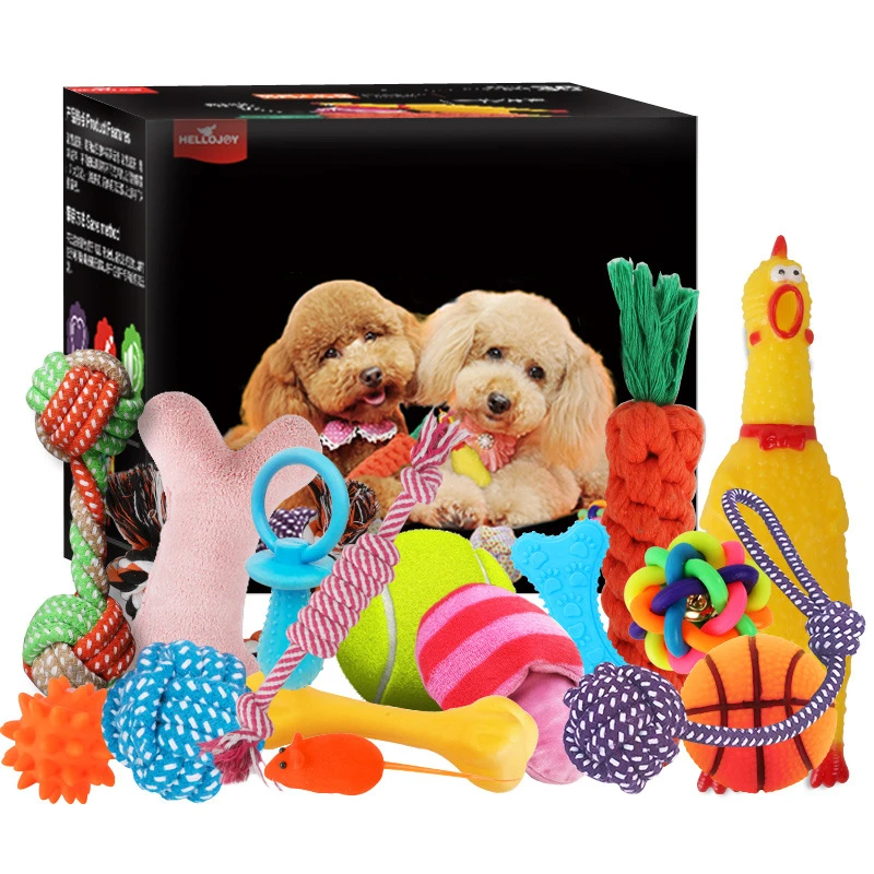 dog toy gift set