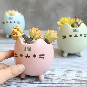 

Succulent Plant Pot with Hole Cute Animal Flower Planter Flowerpot Lovely Little Cat Home Garden Decor Bonsai Pots Birthday Gift