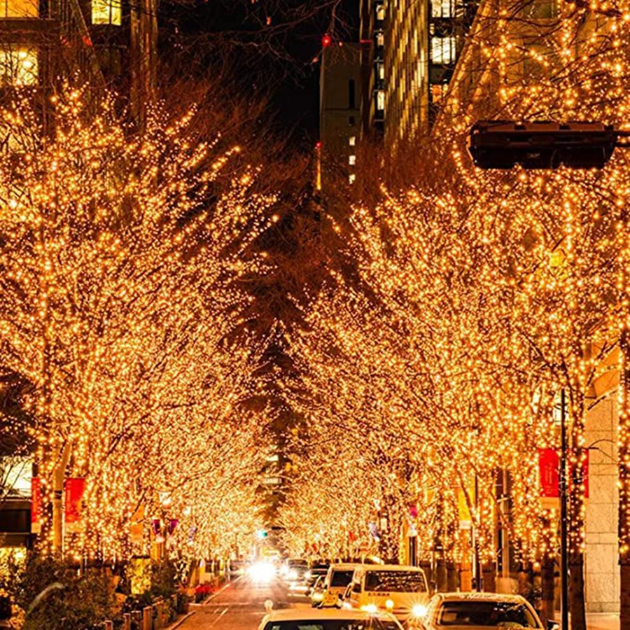 817WwnExxFL._AC_SX679_