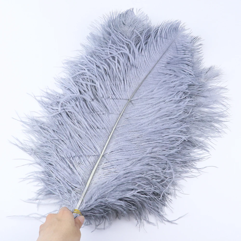 TS0145017 45-50cm ostrich feathers 4