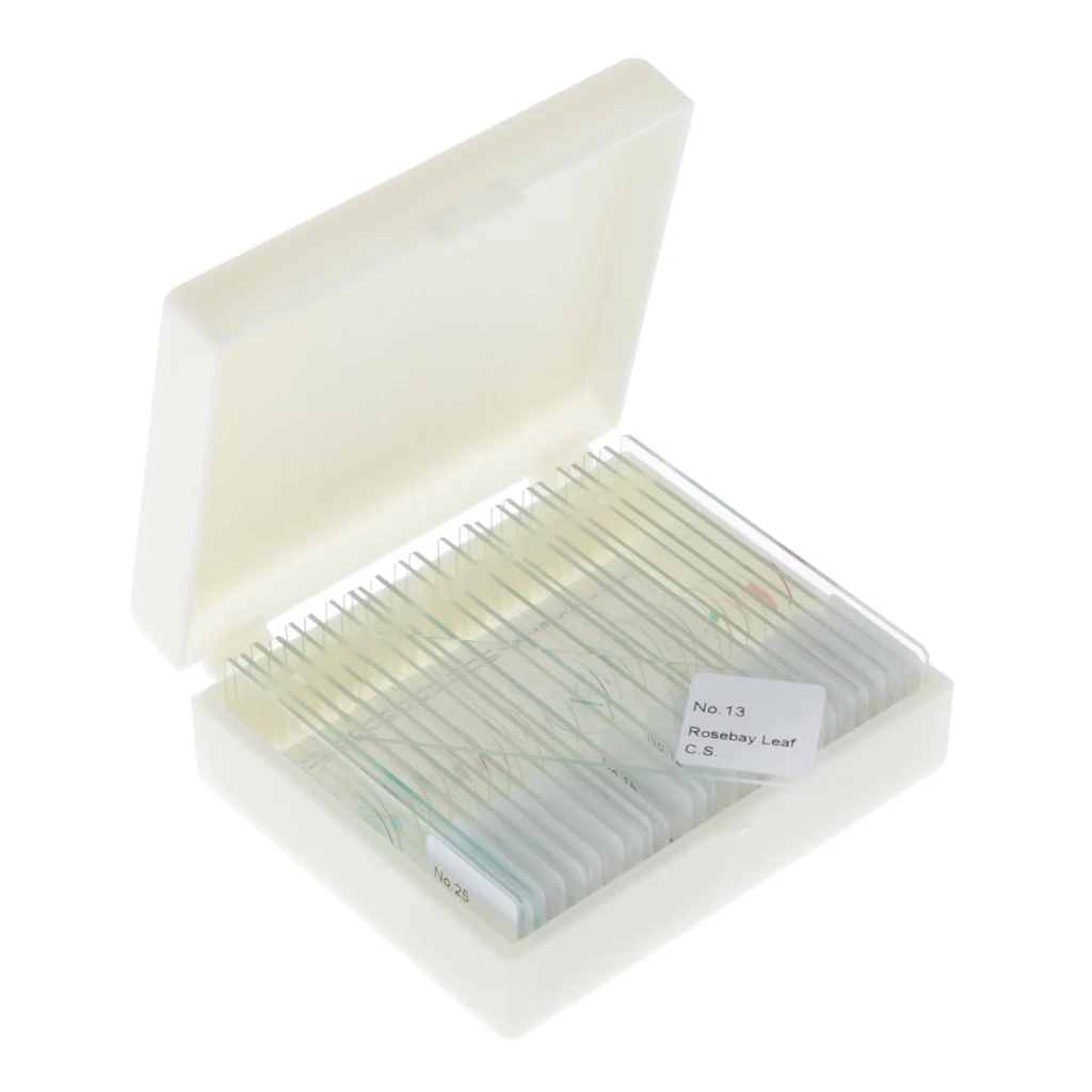 25 Pack Prepared Microscope Slide Set for Basic Biological Science Education, 25pcs Slides, Includes Storage Case