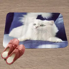 Милый милый коврик для двери с рисунком кота, напольный ковер для гостиной, полиэстеровый коврик, Противоскользящий коврик, украшение для дома