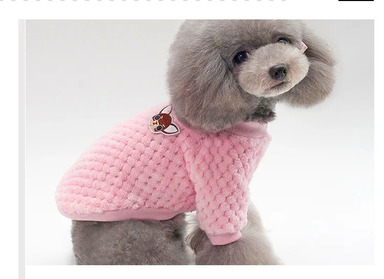 9226080236_1847764777