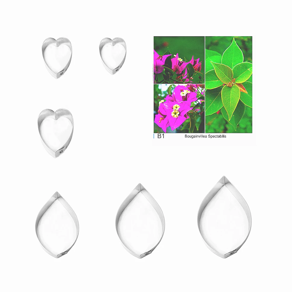 Bougainvillea Spectabilis fondant sugar flower cutters baking cake decorations Polymer Clay Cold Porcelain gumpaste tools | Дом и сад