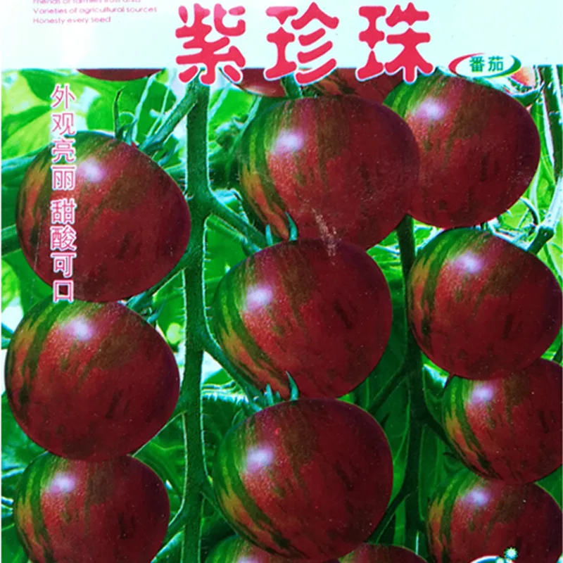 

Small garden seed small tomato cherry tomatoes seeds purple pearl tomatoes about 100pcs