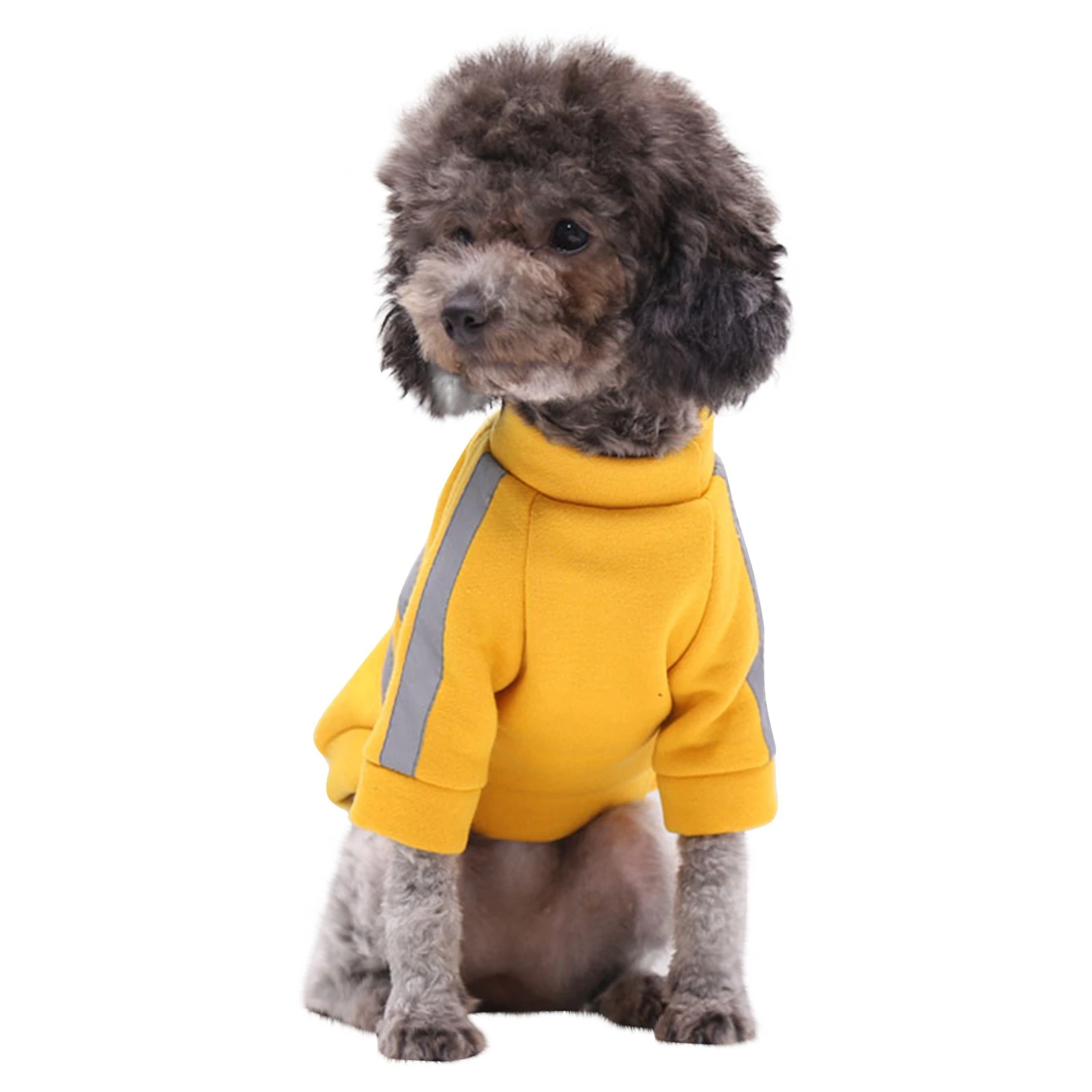 How To Keep A Small Dog Warm At Night