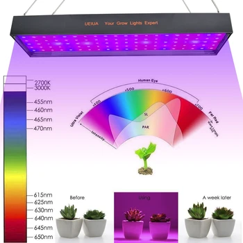 

4800W LED Grow Light Panel AC Concatenated Light With 100 5054 LED Blub Flower Growing Full Spectrum Plant Growing