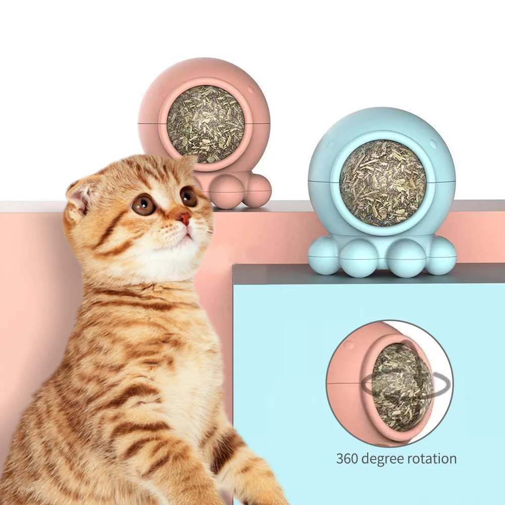 edible cat toys