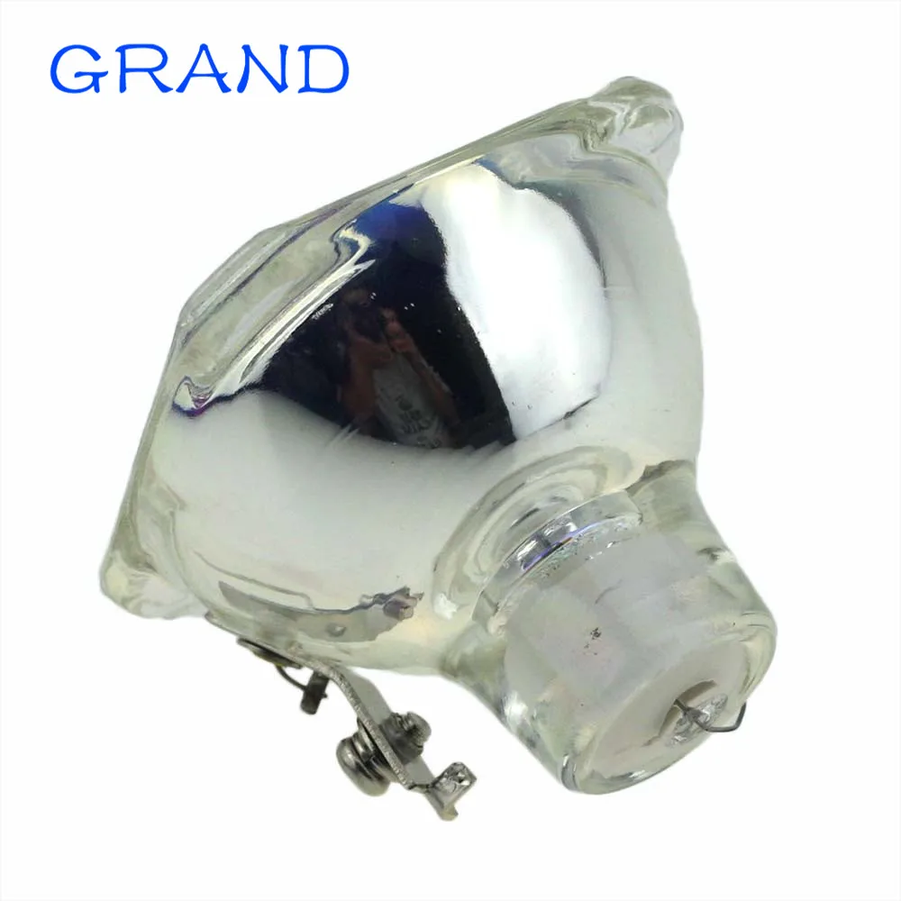 SP-LAMP-003-5