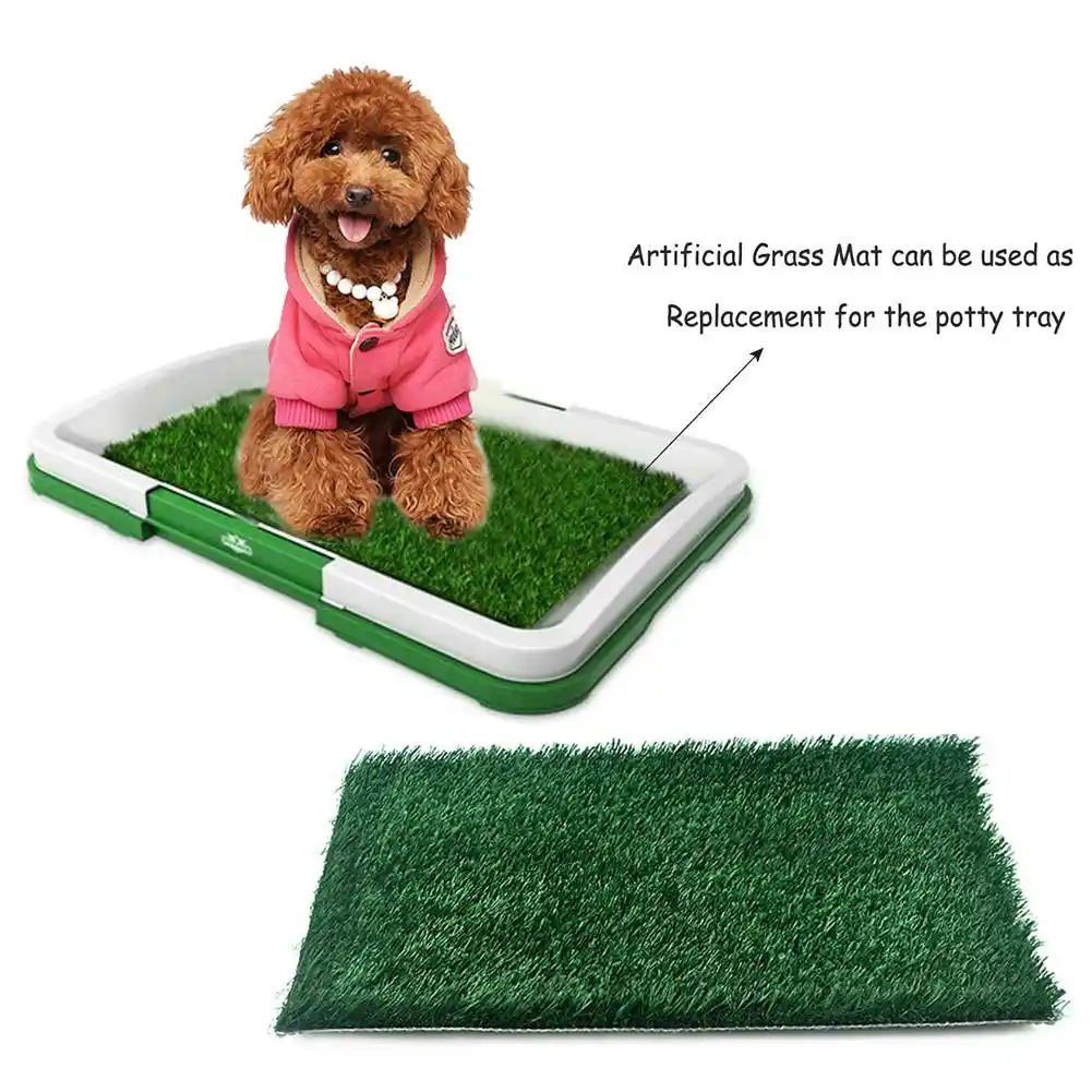 indoor grass mat for dogs