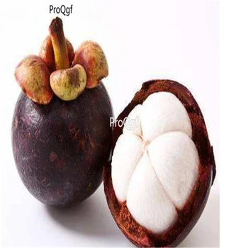 

Ngryise 10pcs a set Garcinia mangostana