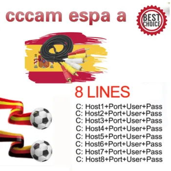 

2020 Satble 8 Line cccam espa a for 1 year 2 year europe Spain Portugal Poland HD ccam espa a server for Satellite Receive