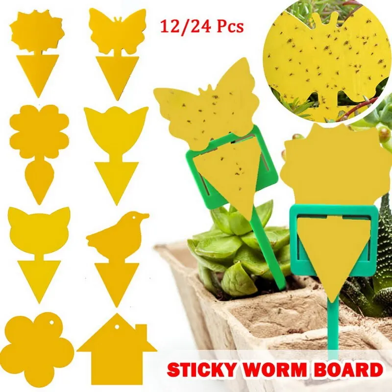 

Yellow Sticky Traps Flying Traps for Fruit Fly Fungus GnatsFlying Insects