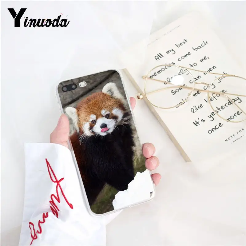 Red panda