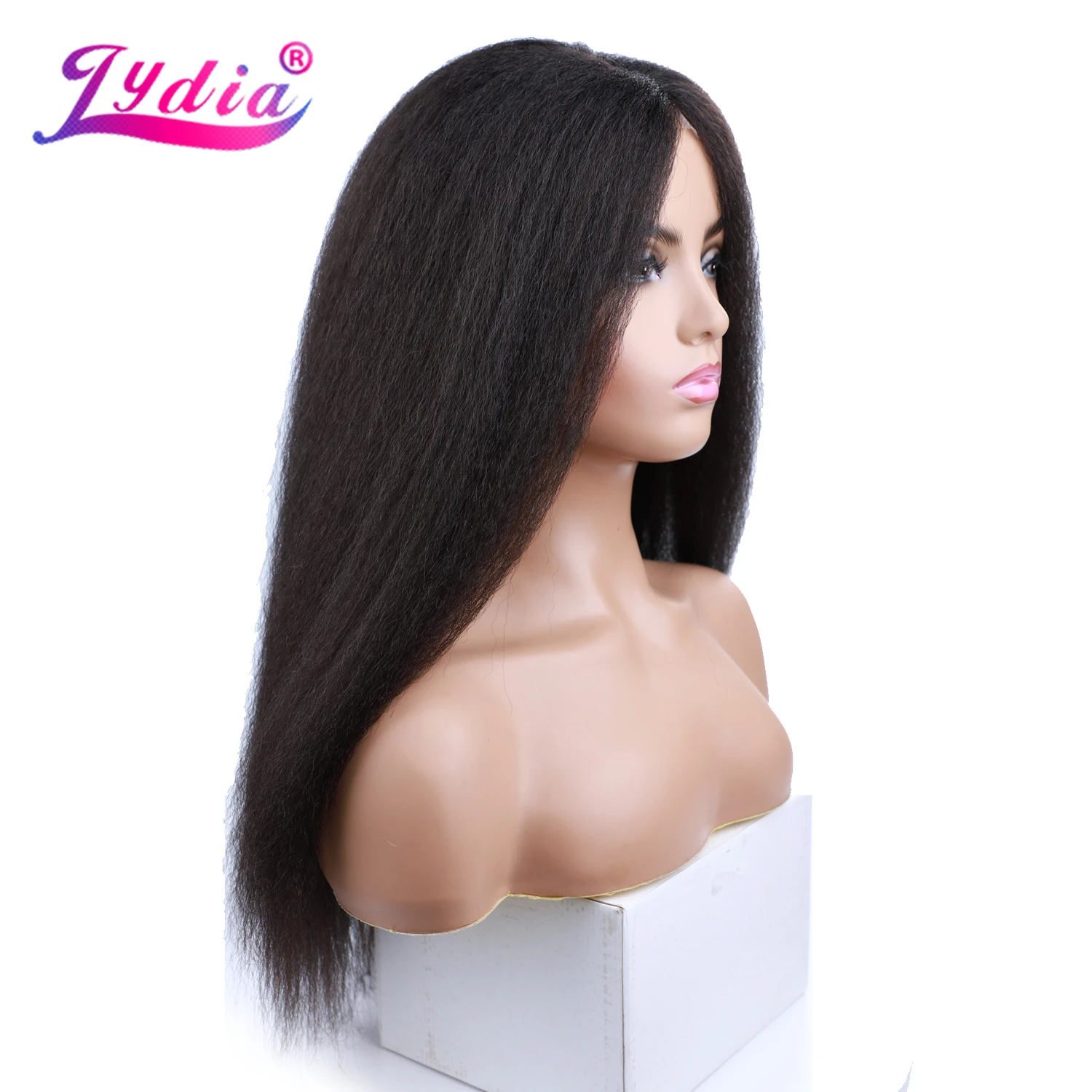 Lydia Long Kinky Straight Synthetic Wigs for Women Black Heat Resistant Fiber Natural Looking Daily&Party Wig 20 Inch Free Side