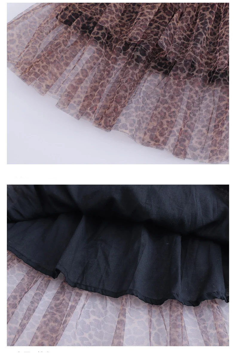 10580742503_71335541