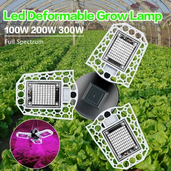 

Indoor Growing Led Lamp Led Plant Lamp E27 Full Spectrum Grow Light Bulb 220V Fitolampy E26 100W 200W 300W Greenhouse Lighting