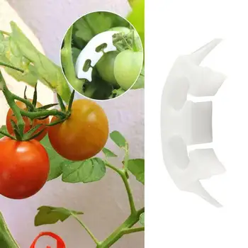

100Pcs Plant Vine Seedlings Grafted Retaining Clips Garden Tomato Support Tool Tomato Clips Connect Pepper Trellis