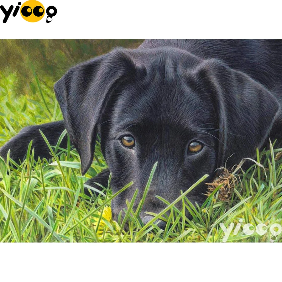 Full Square/Round drill diamond Painting Black labrador 5D DIY diamond